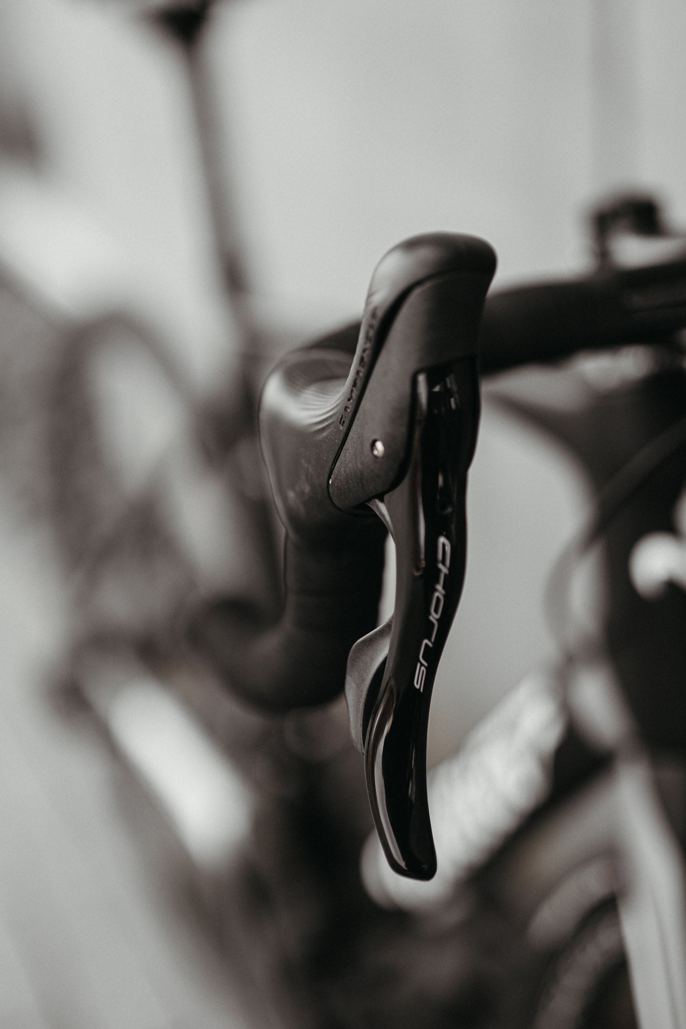 Wilier GTR Chorus / Black White