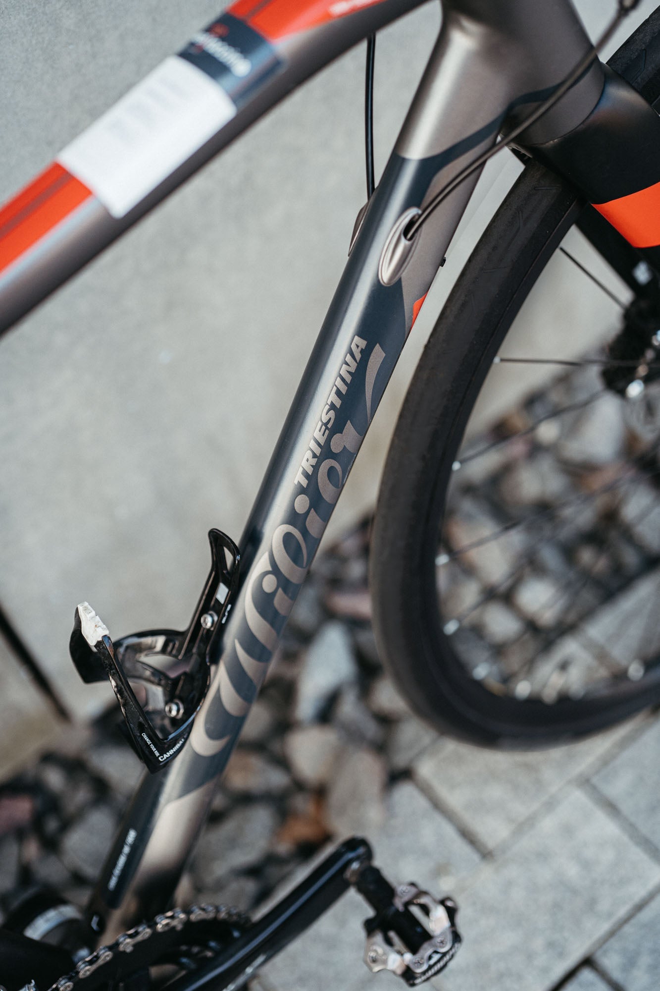 Wilier Montegrappa 105 / Grey Red